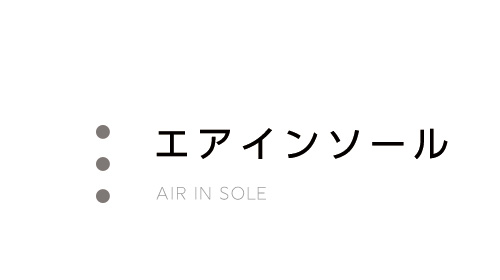 エアインソール